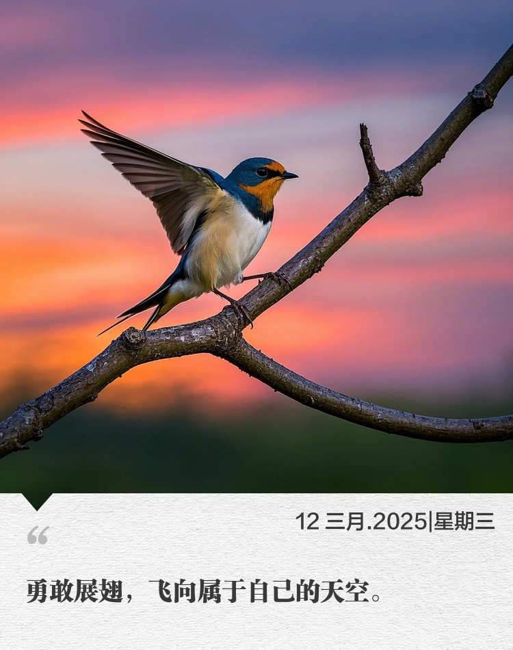 【今日简报】3月12日，星期三，苏宁易购祝您工作愉快，幸福生活